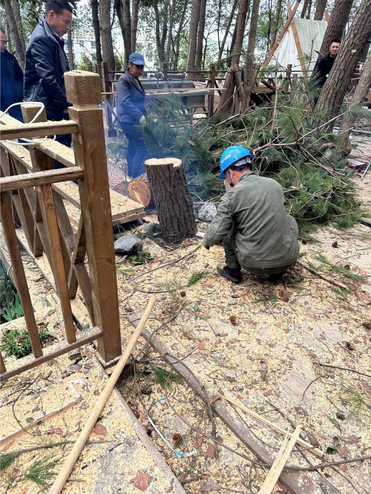 排除隱患，國資公司砍樹解民憂