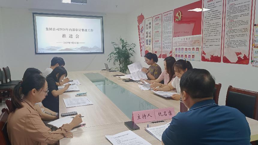 區(qū)國投集團(tuán)召開審計工作推進(jìn)會