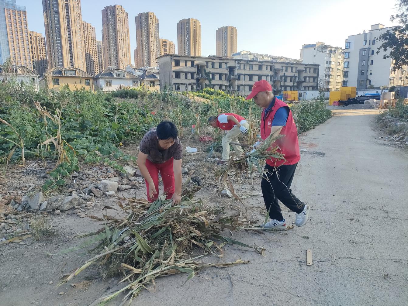 黨員進(jìn)社區(qū)：守護(hù)綠色家園，彰顯國企擔(dān)當(dāng)